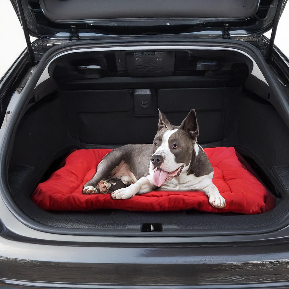 Waterproof Durable Foldable Outdoor Dog Travel Mat