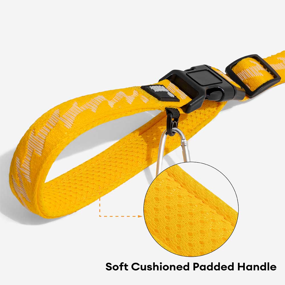 Dual-sided Reflective Adjustable Versatile Soft Handle Nylon Large Dog Lead - Flexi Walker