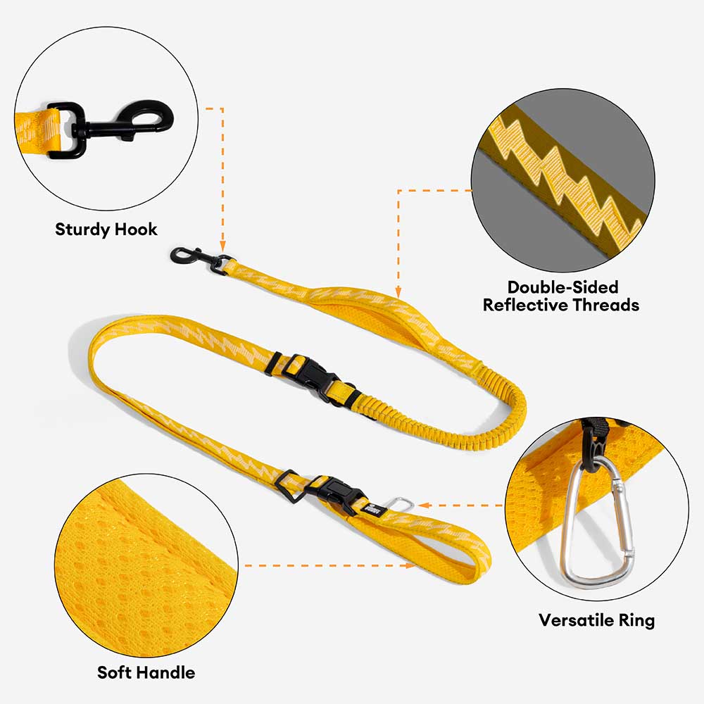 Dual-sided Reflective Adjustable Versatile Soft Handle Nylon Large Dog Lead - Flexi Walker