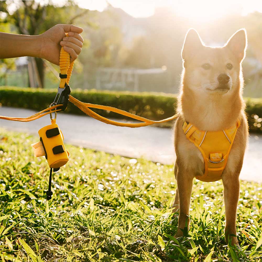 FUNNYFUZZY Waterproof Lead Attachable Poop Bag Dispenser - Flexi Walker