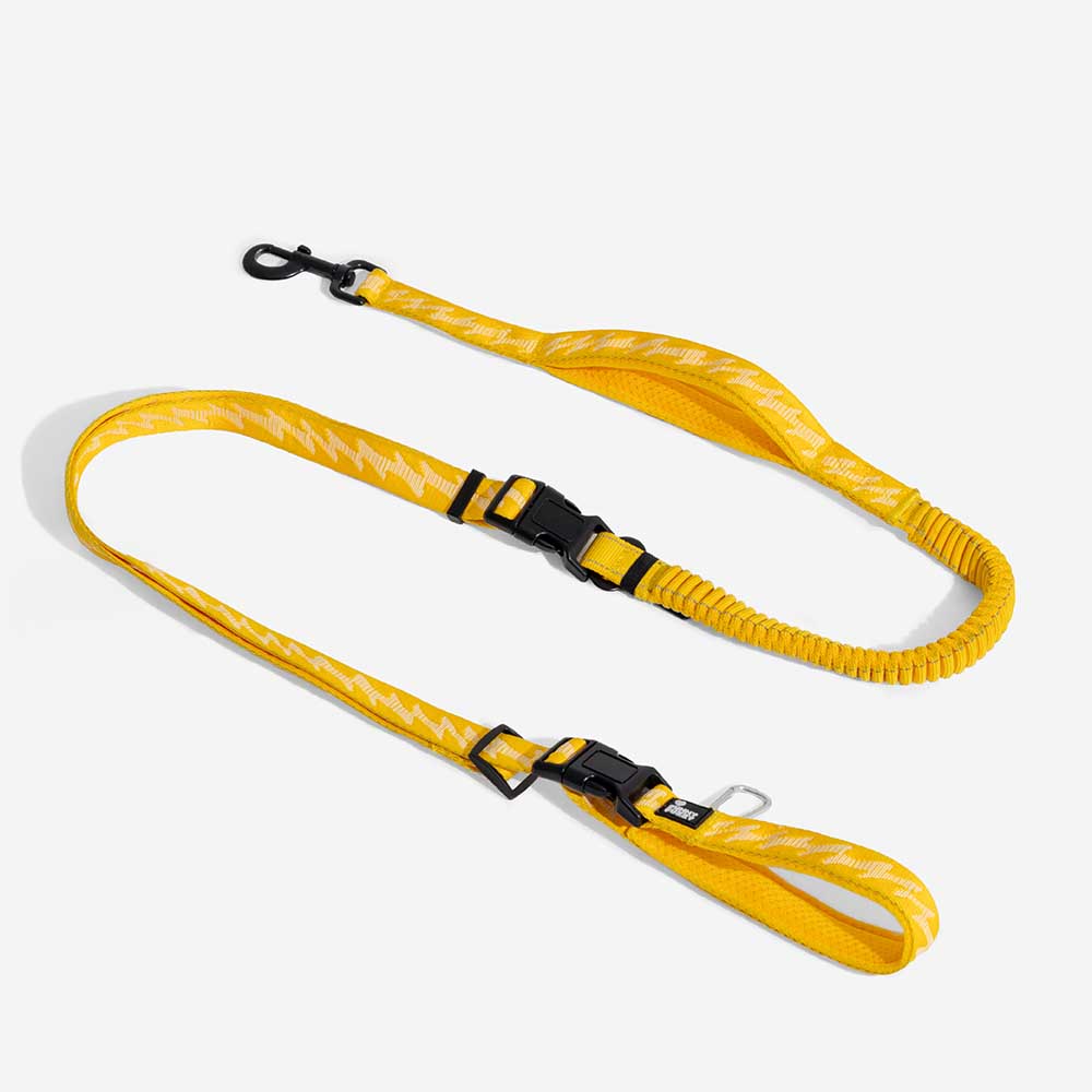 Dual-sided Reflective Adjustable Versatile Soft Handle Nylon Large Dog Lead - Flexi Walker