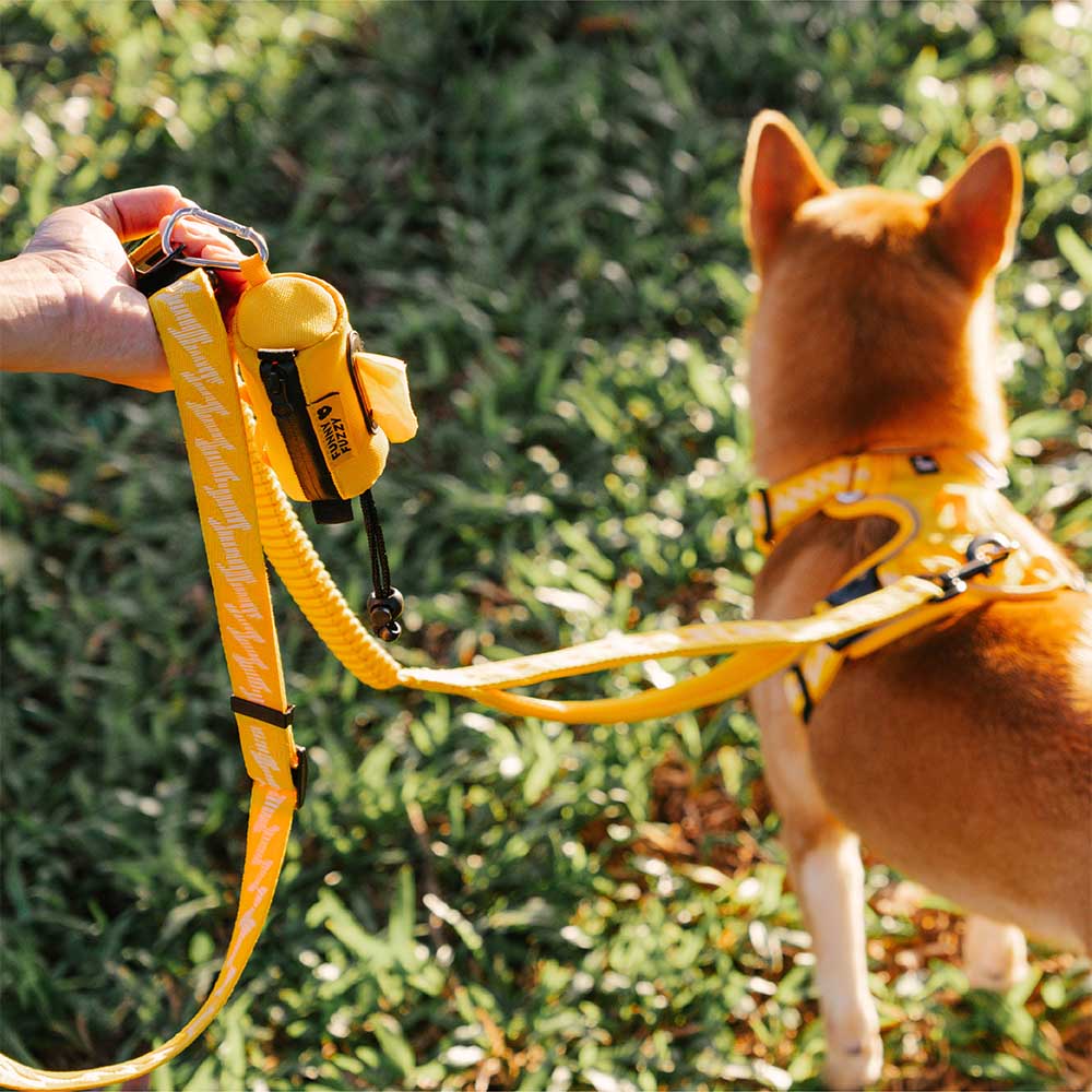 FUNNYFUZZY Waterproof Lead Attachable Poop Bag Dispenser - Flexi Walker