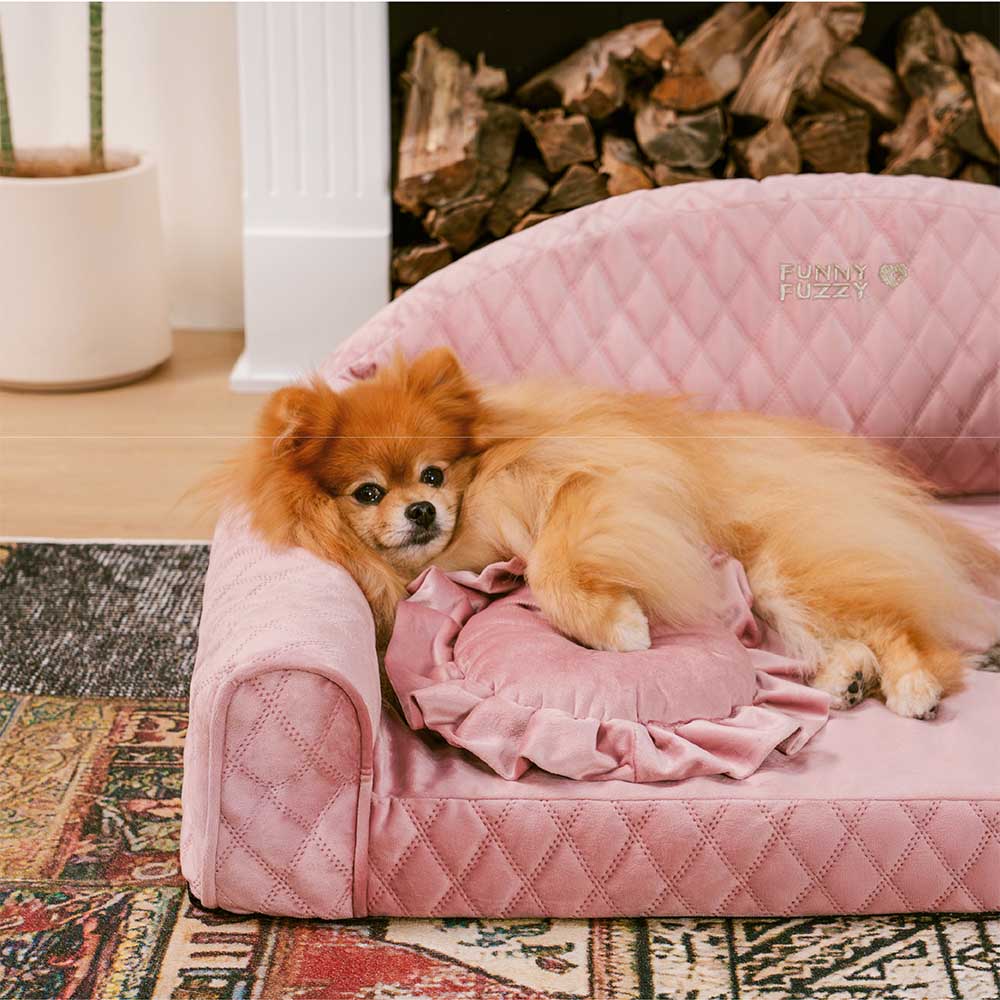 Pinky Cosy Bolster Dog Sofa Bed - Princess Lord