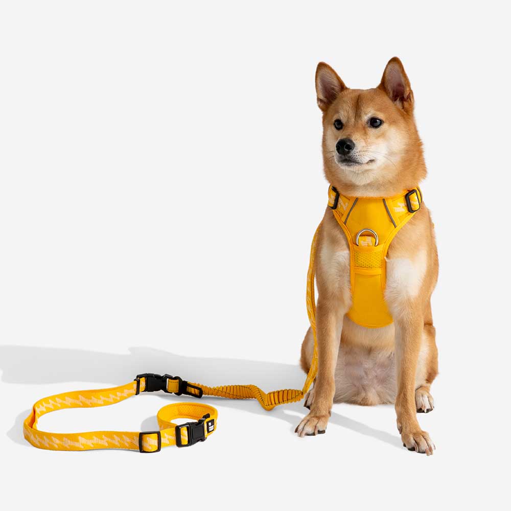 Dual-sided Reflective Adjustable Versatile Soft Handle Nylon Large Dog Lead - Flexi Walker