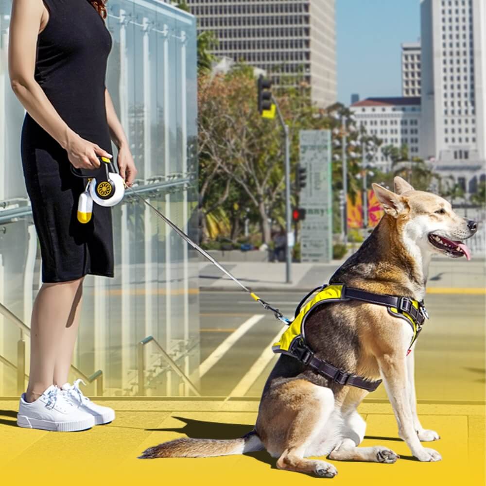 Automatic Explosion-Proof Retractable Dog Lead for Medium to Large Dogs