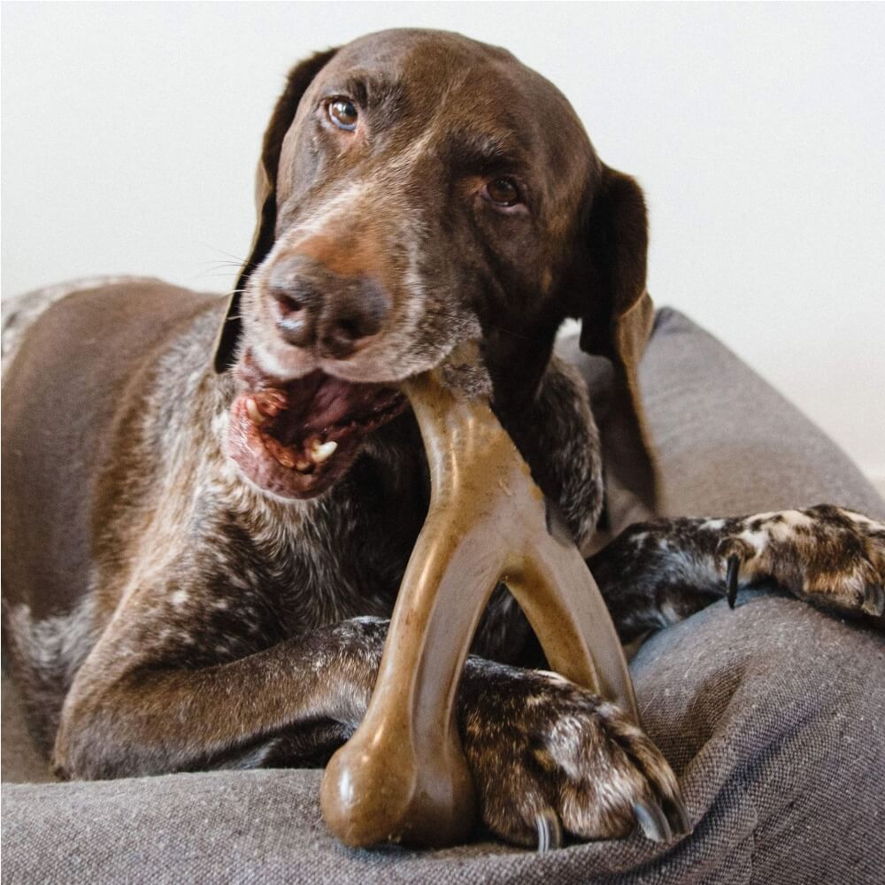 Teething Bones Dog Chew Toy - Bacon-Flavoured