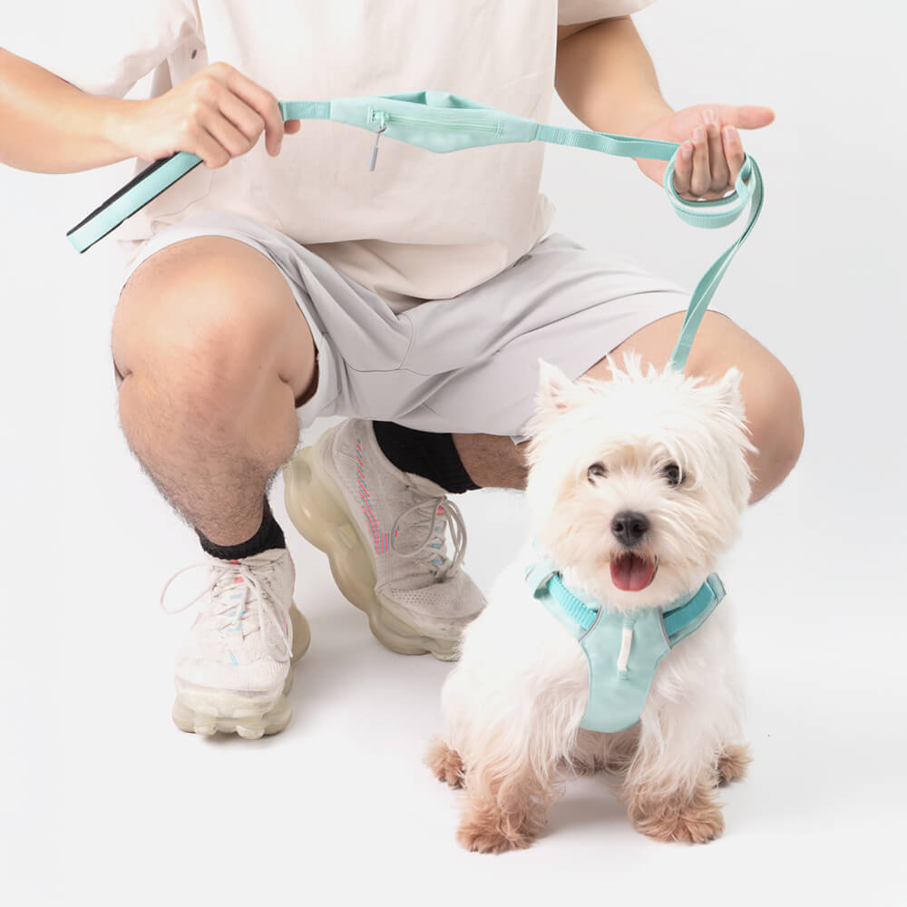 Adjustable Multi-Handle Dog Harness and Lead Kit