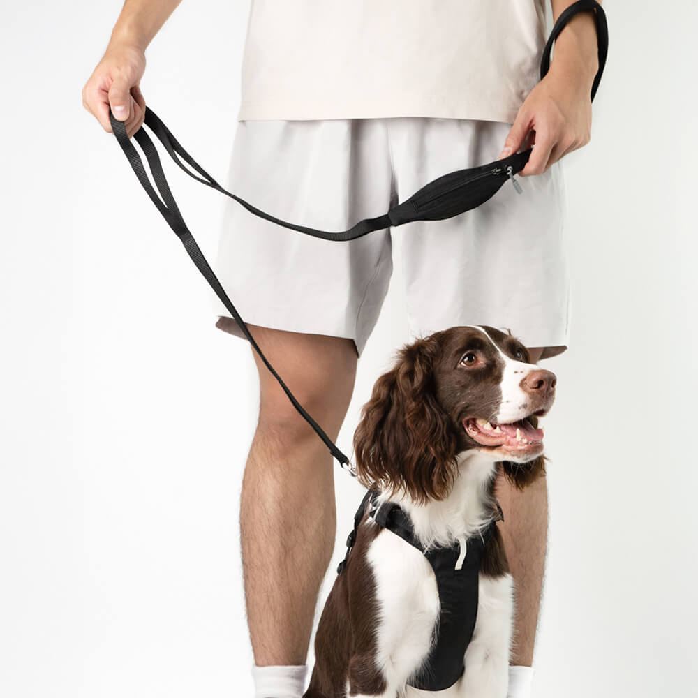 Adjustable Multi-Handle Dog Harness and Lead Kit