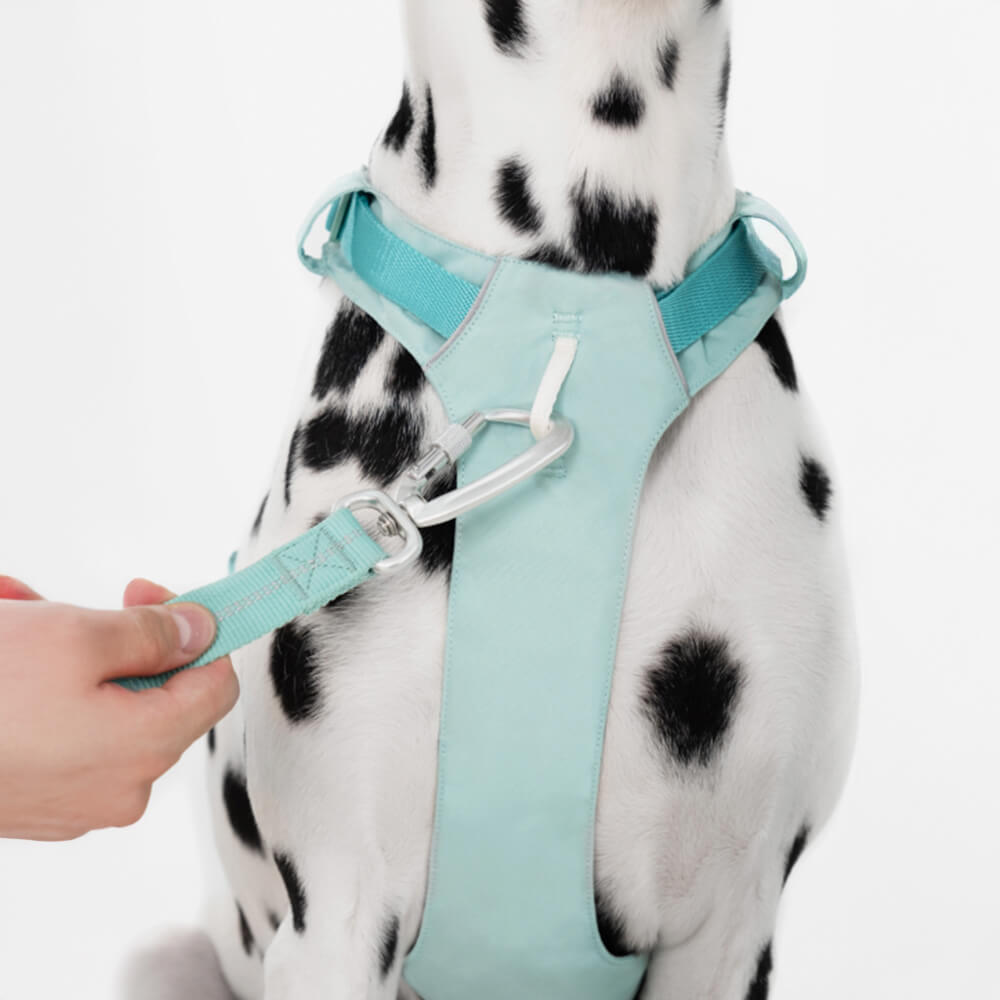 Adjustable Multi-Handle Dog Harness and Lead Kit