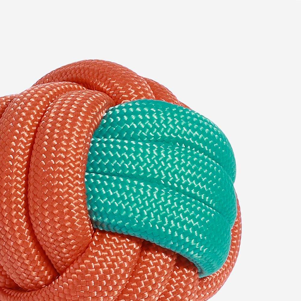 Knots Rope Tug Dog Toy - Colour Clash