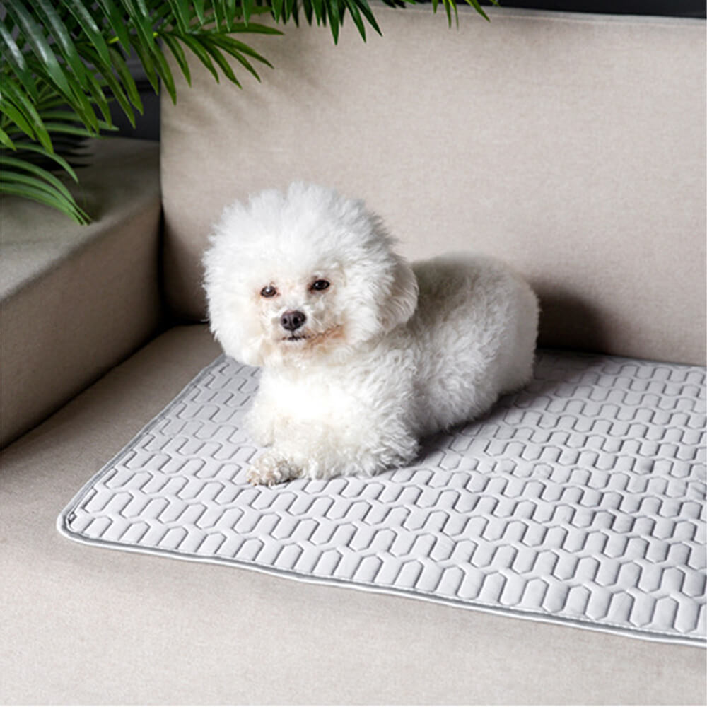 Cooling Washable Non-Slip Breathable Ice Silk Dog & Cat Mat