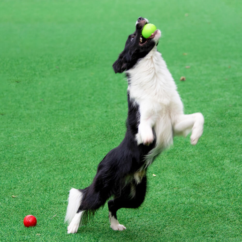 Elastic Squeaky Ball Toy Floating Water Ball Dog Chew Toy