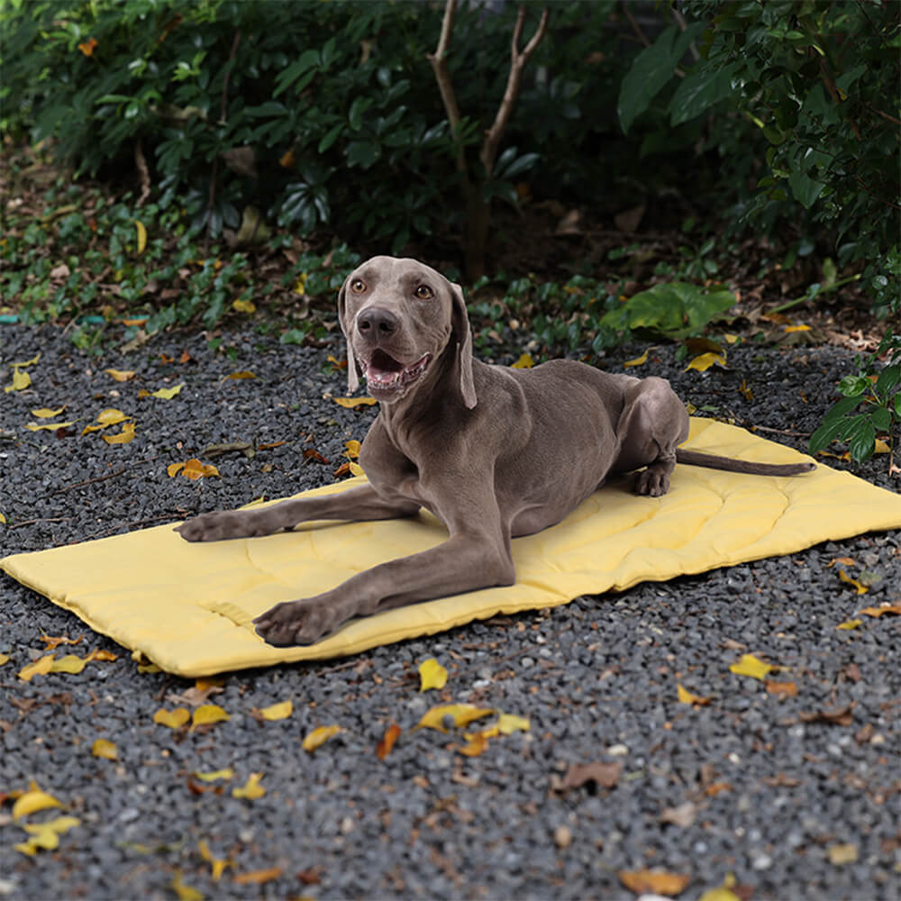 Foldable Waterproof Portable Dog Car Seat Mat Dog Camping Mat