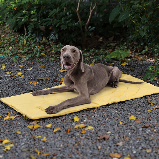 Foldable Waterproof Portable Dog Car Seat Mat Dog Camping Mat