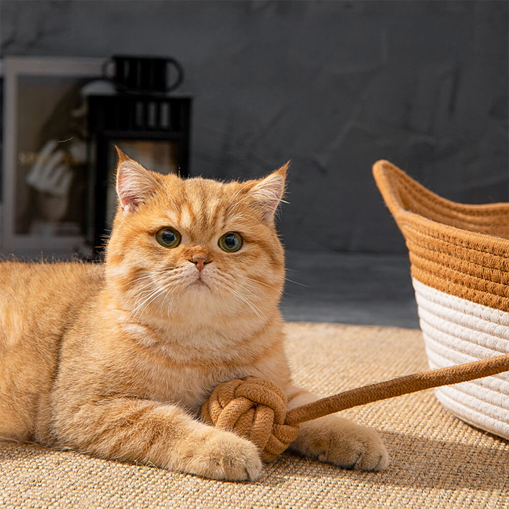 Handmade Cosy Multi-Use Durable Woven Cat Nest Bed