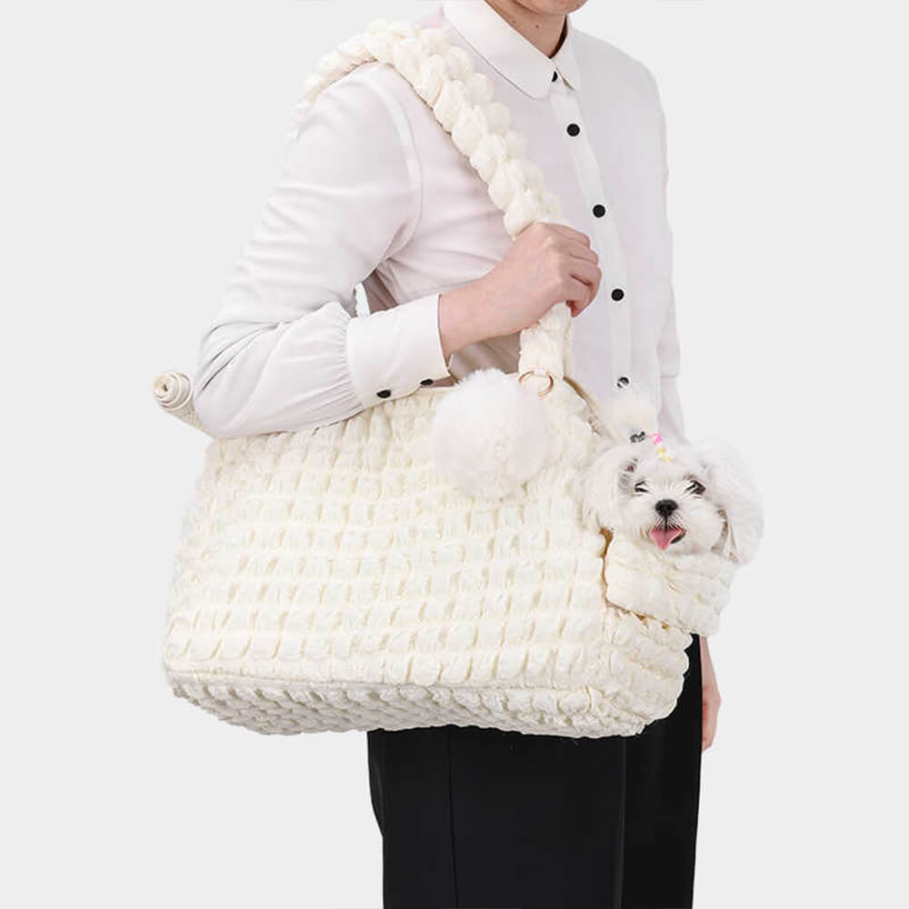 Trendy Cosy Lightweight Breathable Detachable Pet Carrier Shoulder Bag