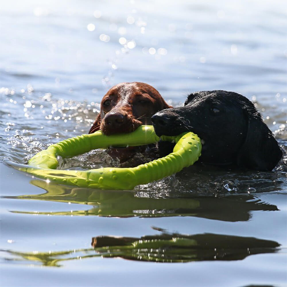 War Ring Durable Waterproof Lightweight Flexible Interactive Dog Toy