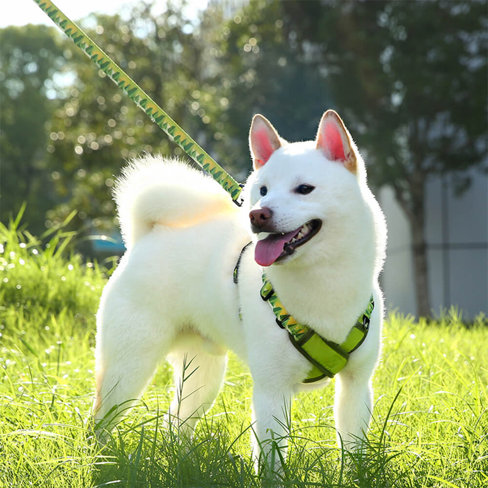 X-Shaped Adjustable Durable Dog Harness and Lead Kit