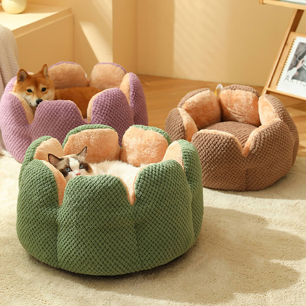 Cactus Shape Comfy Pet Bed