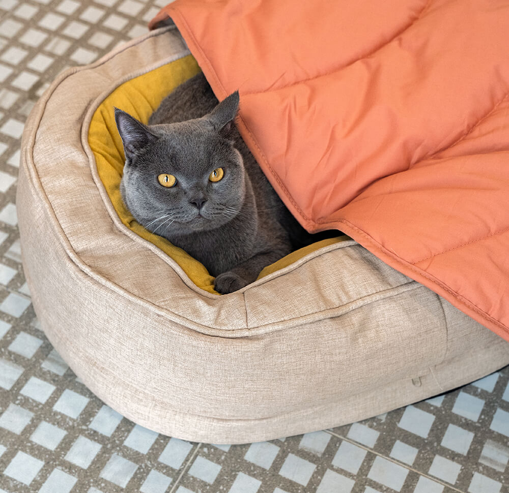 Donut Fluffy Orthopaedic Dog Bed