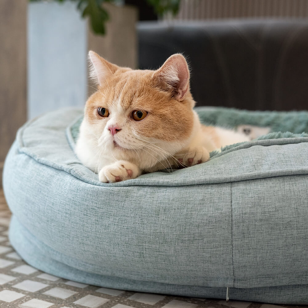 Donut Fluffy Orthopaedic Dog Bed