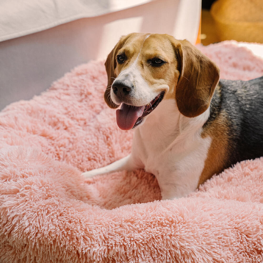 Dog Bed - Fuzzy Round