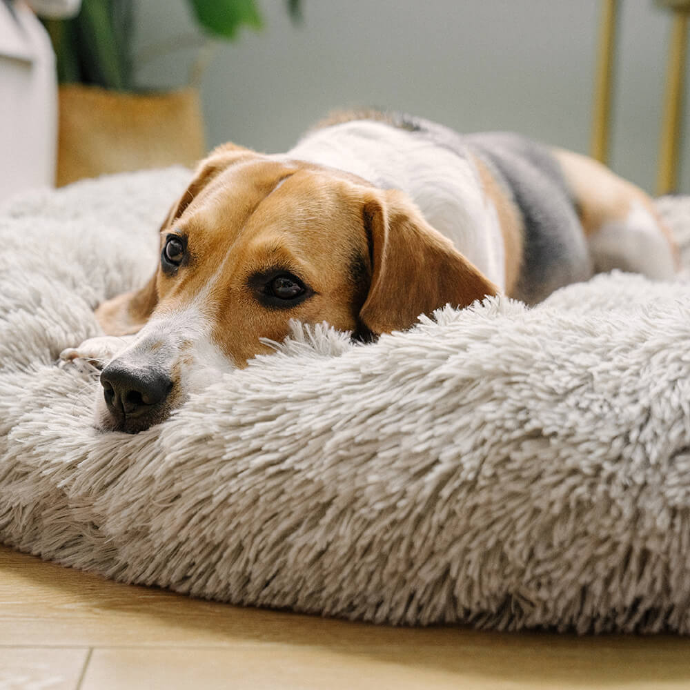 Dog Bed - Fuzzy Round