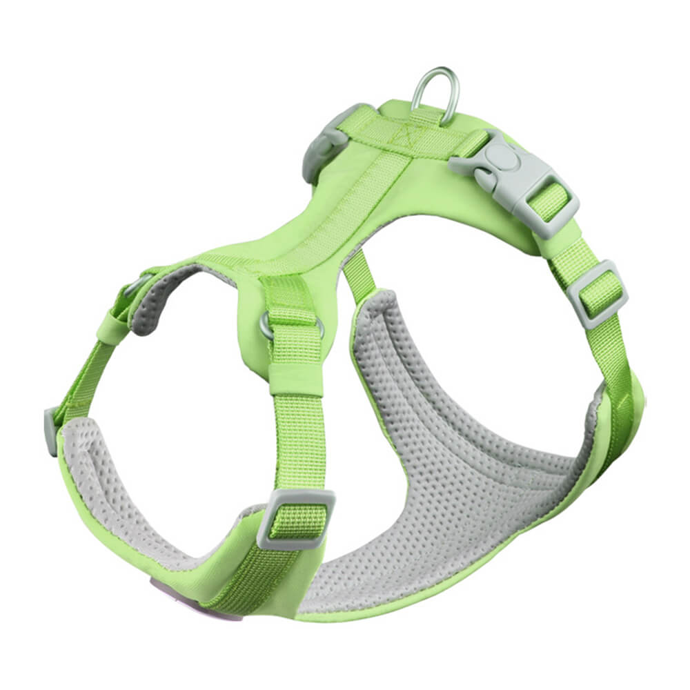 Complete Control Comfortable No-Pull Dog Harness and Lead Kit