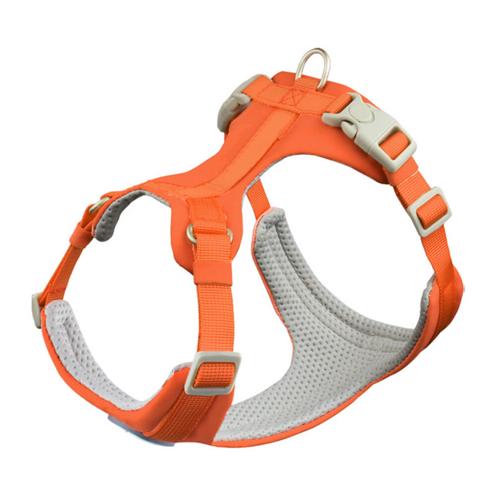 Complete Control Comfortable No-Pull Dog Harness and Lead Kit