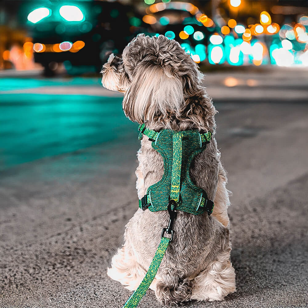 Eco-friendly Recycled Fabric No-Pull Dog Harness and Lead