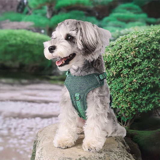 Eco-friendly Recycled Fabric No-Pull Dog Harness and Lead