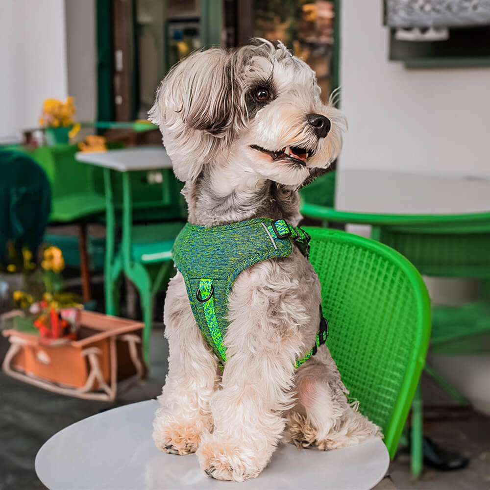 Eco-friendly Recycled Fabric No-Pull Dog Harness and Lead