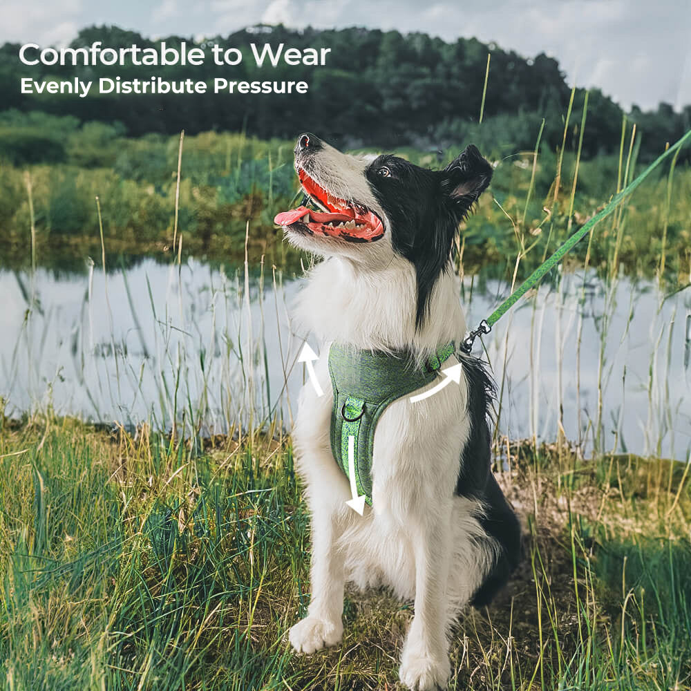 Eco-friendly Recycled Fabric No-Pull Dog Harness and Lead