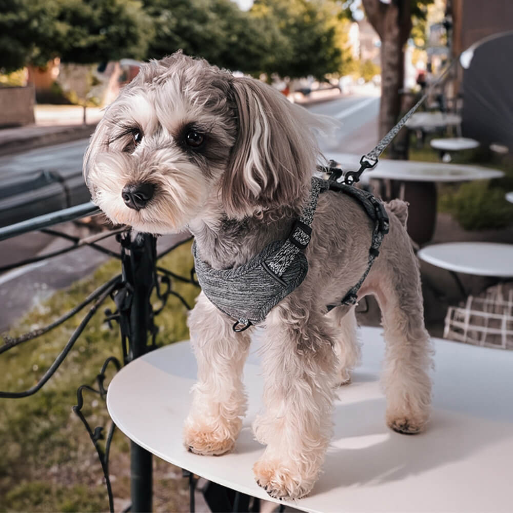 Eco-friendly Recycled Fabric No-Pull Dog Harness and Lead