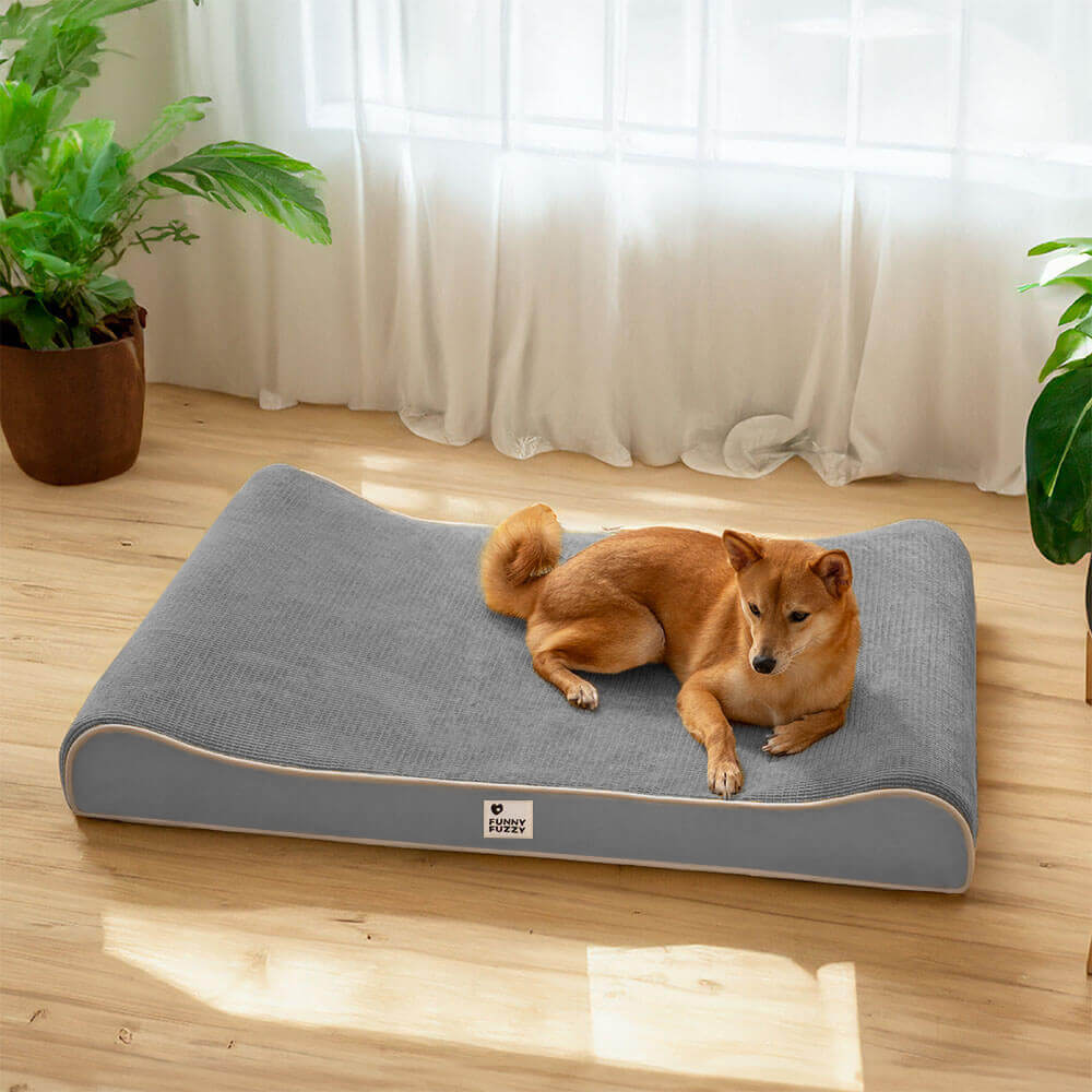 Luxurious Nobility Dog Lounge Chair Orthopaedic Dog Bed