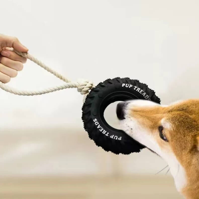 Rubber Tire Dog Interactive Toy Teething and Chewing Toy