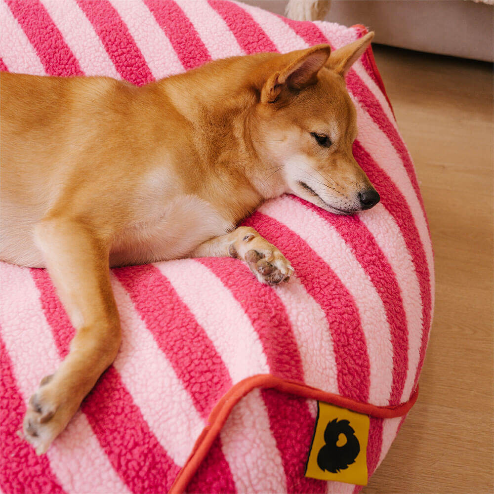 Trendy Striped Pattern Polygonal Pet Bean Bag Chair