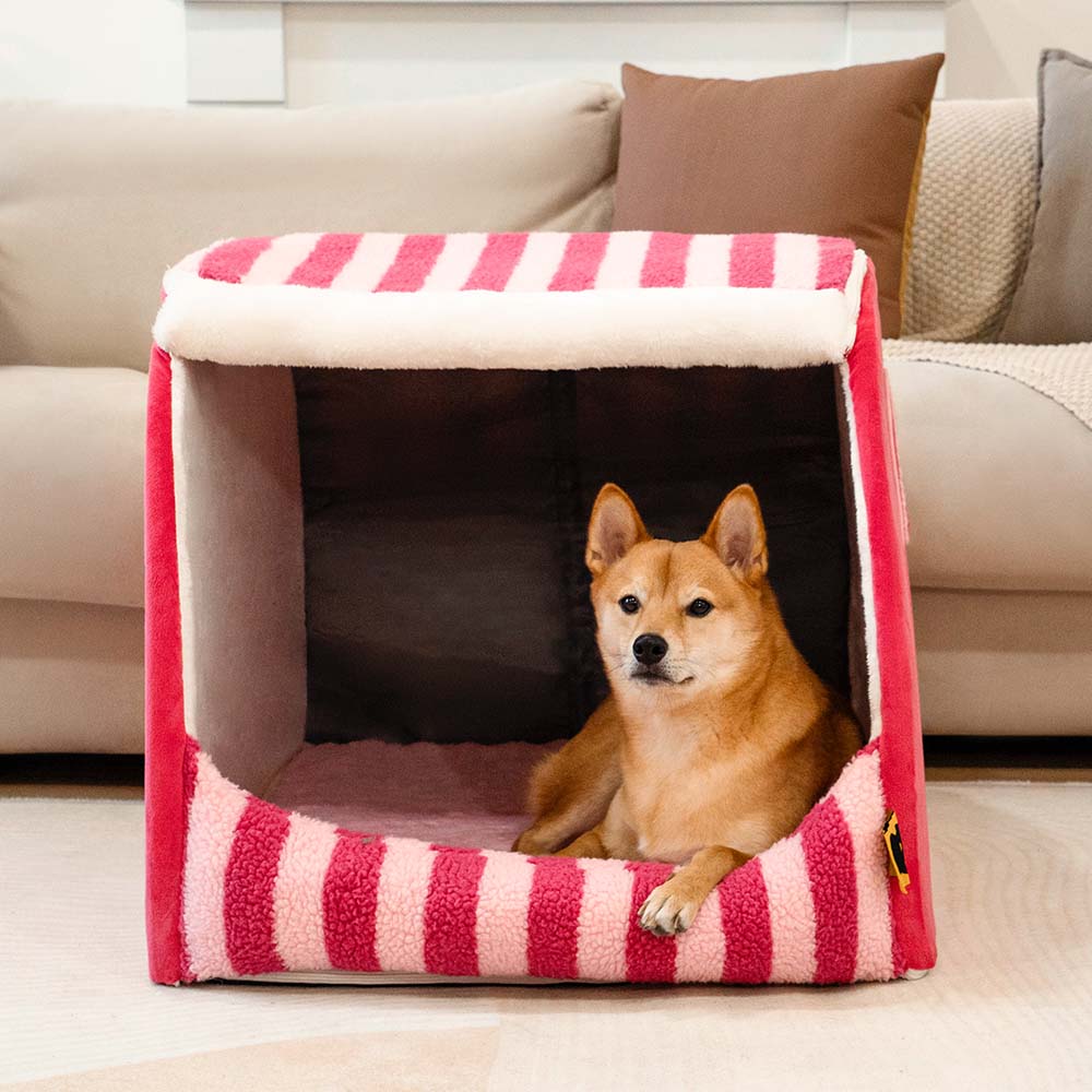 Trendy Striped House Orthopaedic Dog Bed - Cosy Hideaway