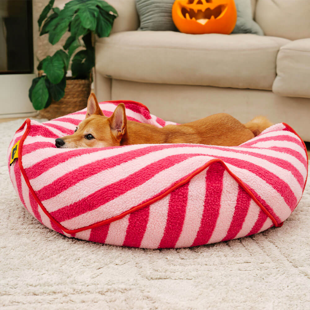 Trendy Striped Pattern Polygonal Pet Bean Bag Chair