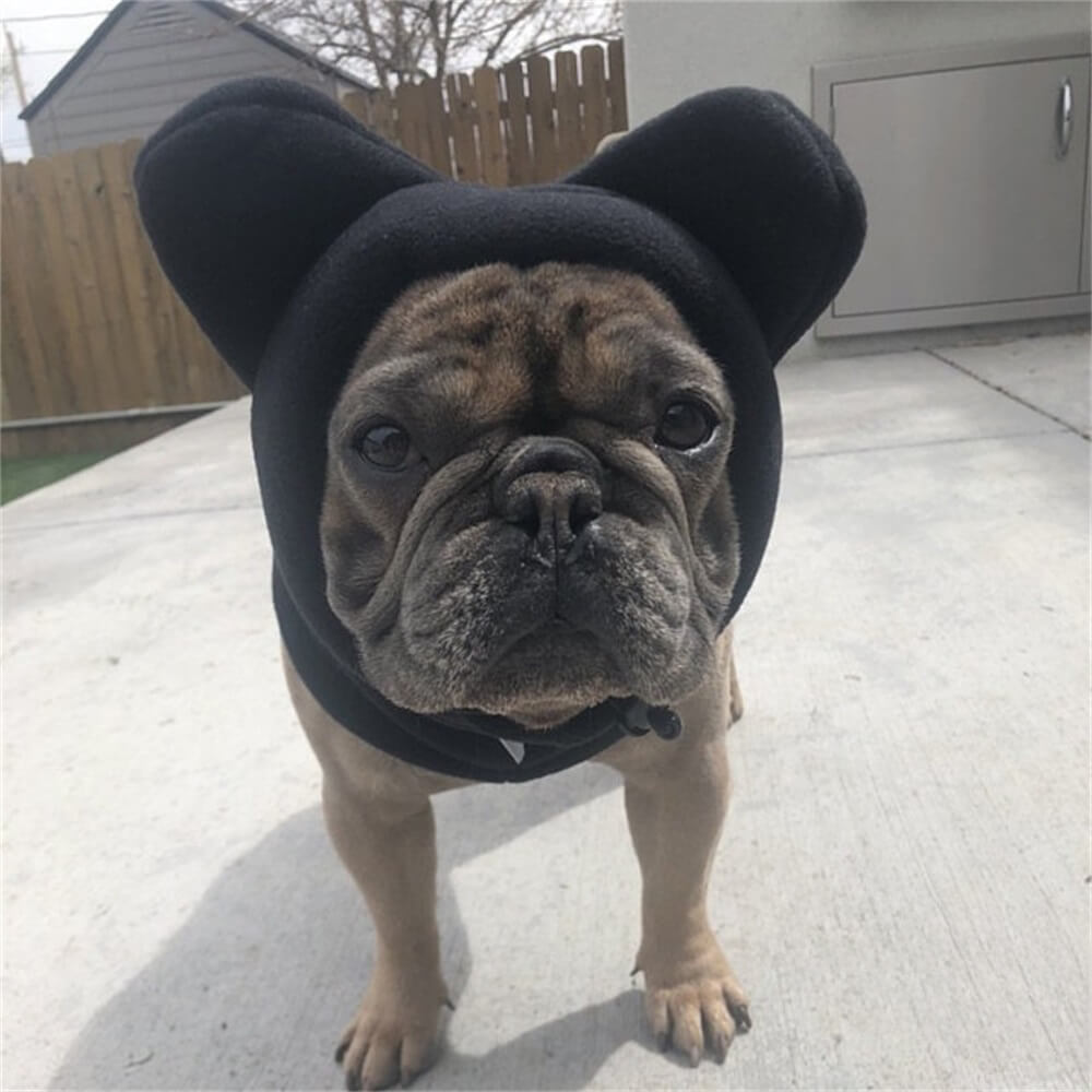 Fleece Dog Hood with Bear Ears – Fun and Cosy Winter Headwear