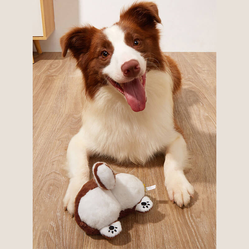 Funny Plush Squeaky Dog Toy - Butt