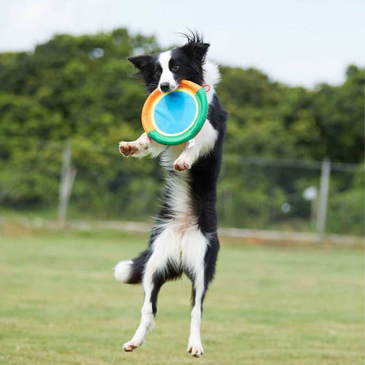 Outdoor Interactive Dog Toy Durable Oxford Cloth Dog Frisbee