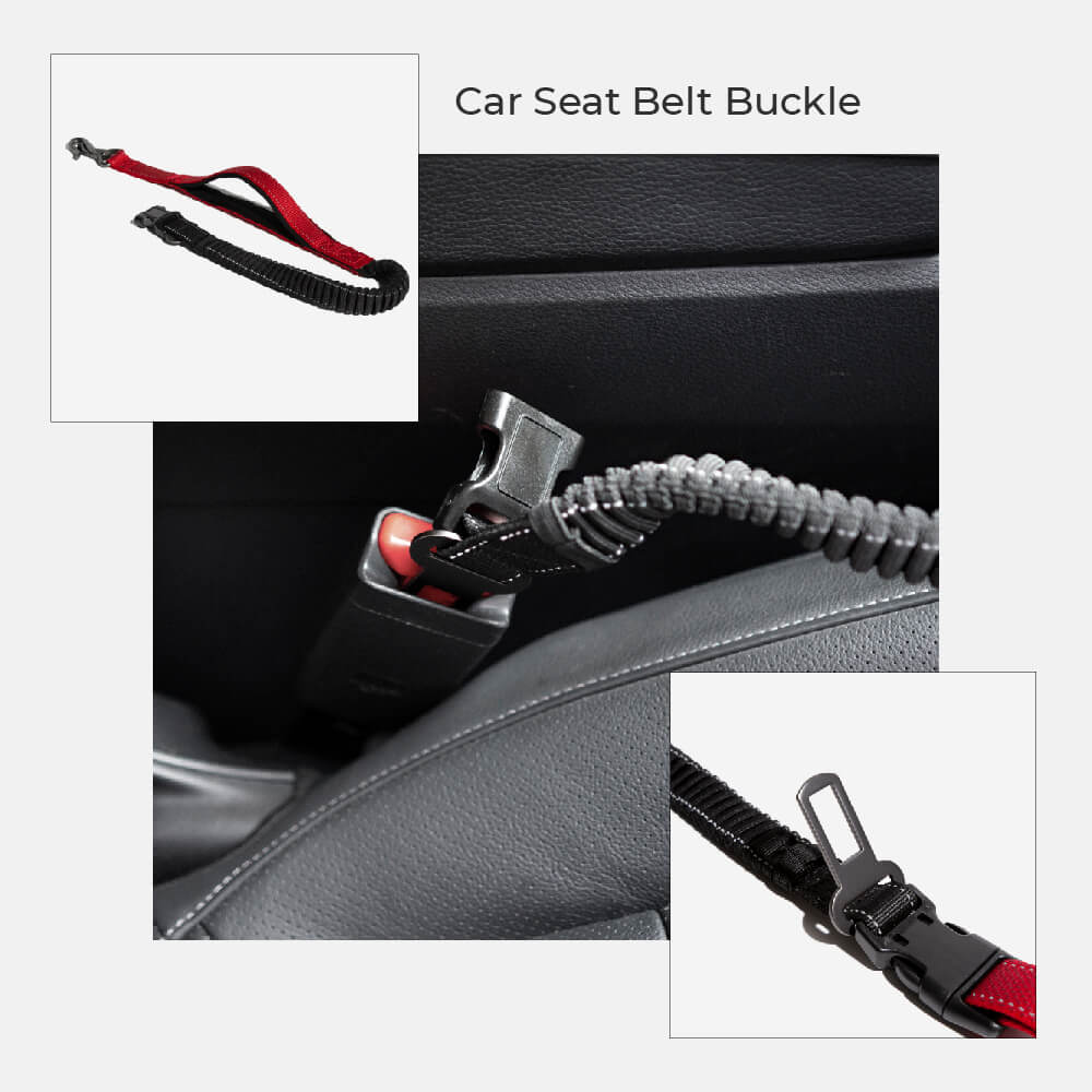 Multifunction Hands Free Dog Lead With Safety Seat Belt