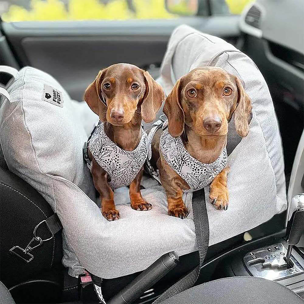 Travel Dog Car Seat Bed - Gym Bag