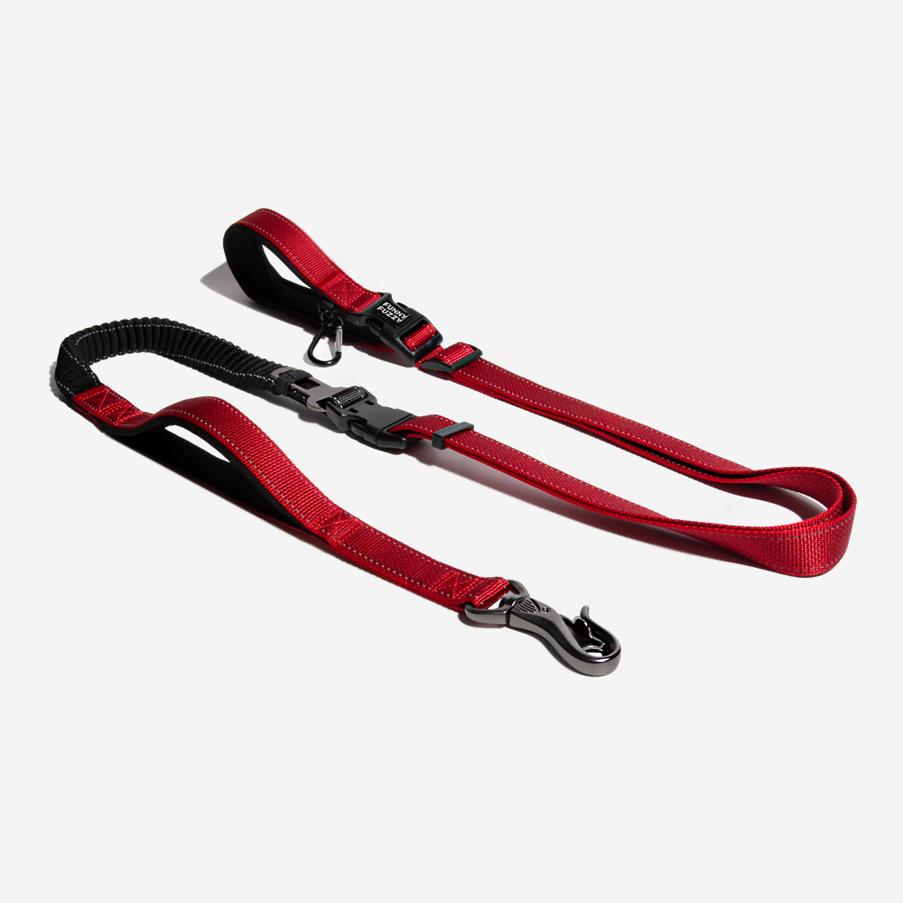 Multifunction Hands Free Dog Lead With Safety Seat Belt